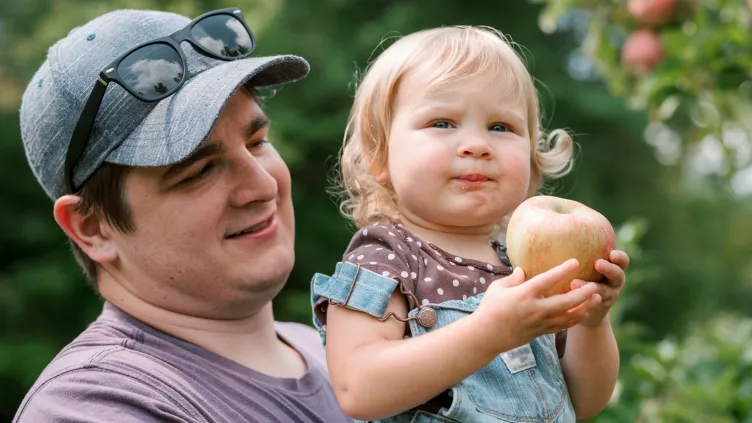 Father with daughter in apple orchard